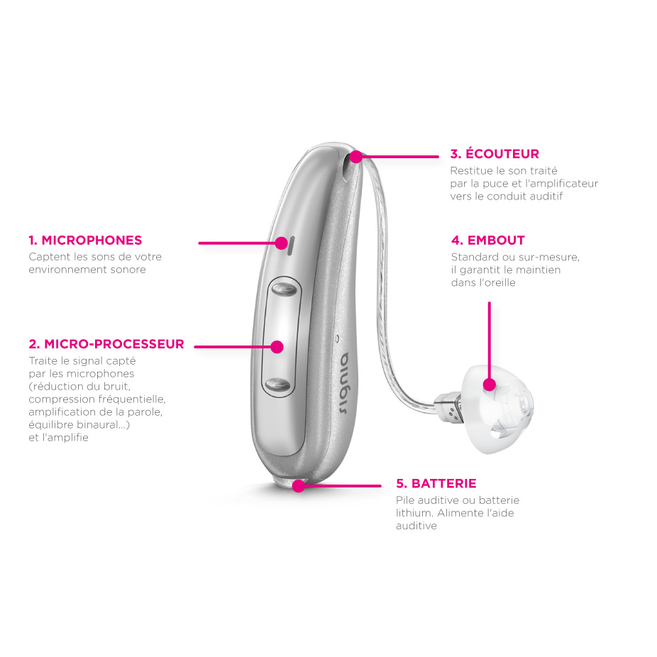 Fonctionnement de l'appareil auditif : comment ça marche ?